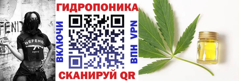 Конопля сатива Белая Калитва